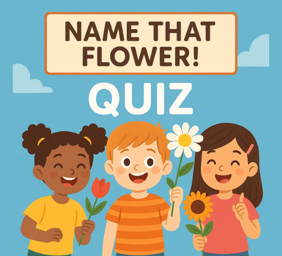 Name That Flower! Quiz