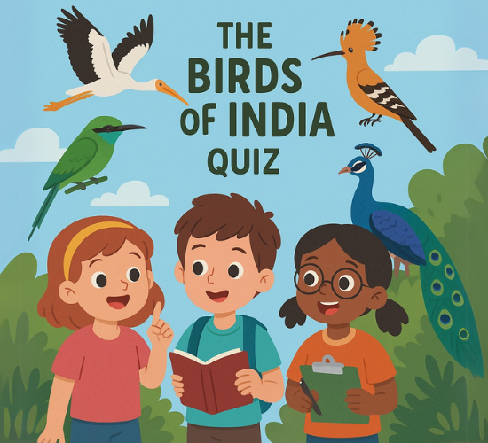 Identify the Birds of India Quiz