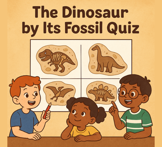 The Ultimate Dinosaur Fossil Challenge!