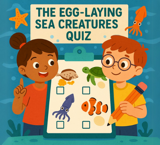 The Egg-Laying Sea Creatures Quiz