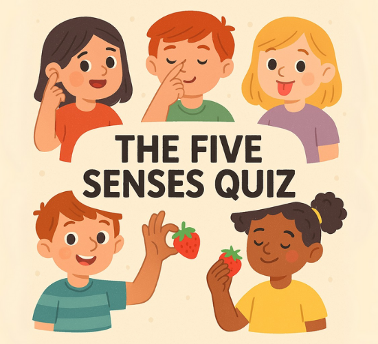 This 5 Senses Quiz Will Blow Your Mind!