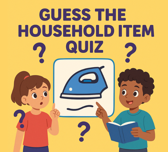 Guess the Household Item Quiz