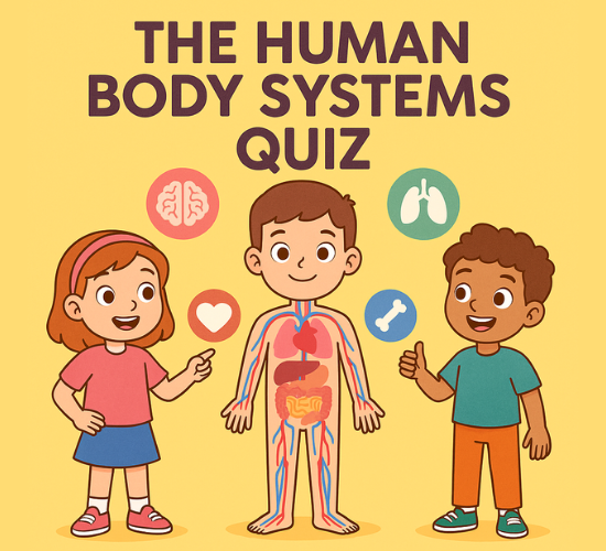 The Human Body Systems Quiz