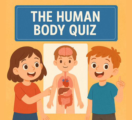 The Human Body Quiz