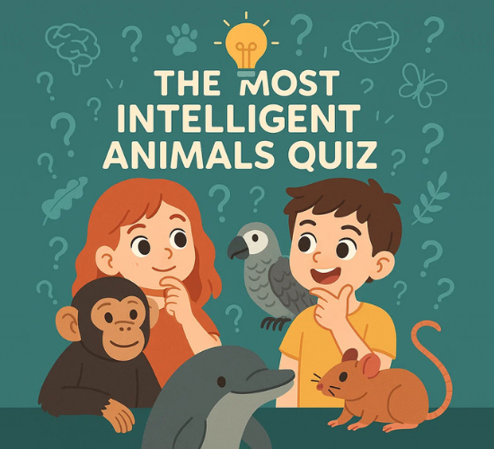 The Most Intelligent Animals Quiz