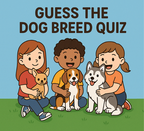 How Many Dog Breeds Can You Guess? Quiz