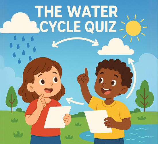 The Water Cycle Quiz