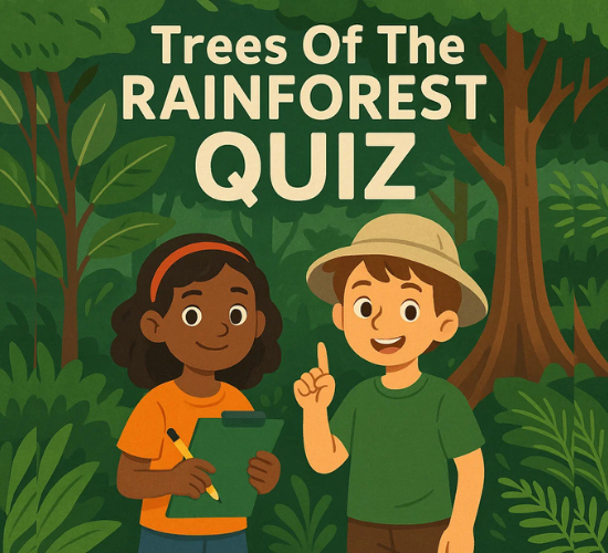 Trees Of The Rainforest Quiz