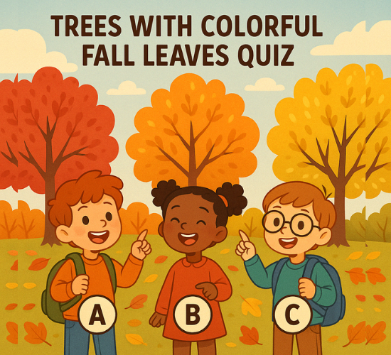 Trees with colorful Fall leaves Quiz