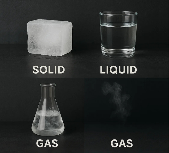Types of Matter Quiz