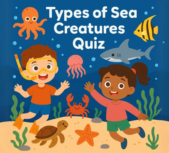 Types of Sea Creatures Quiz