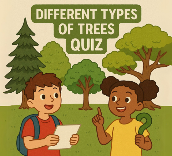 Different Types of Trees Quiz