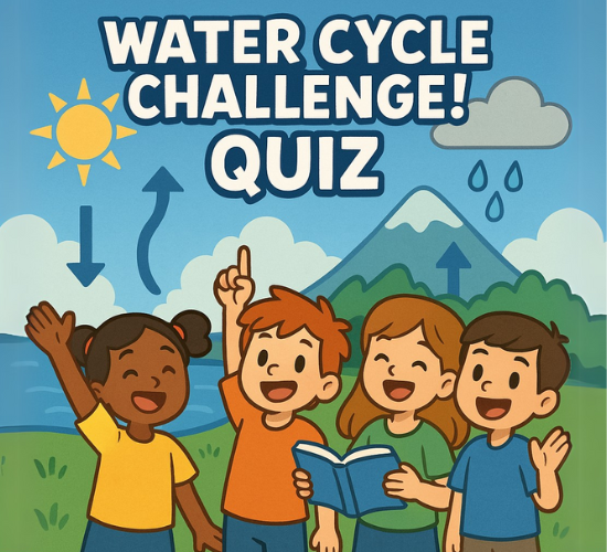 Water Cycle Challenge!: Correct and Incorrect Quiz