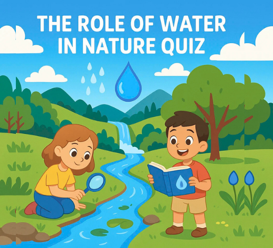The Role of Water in Nature Quiz