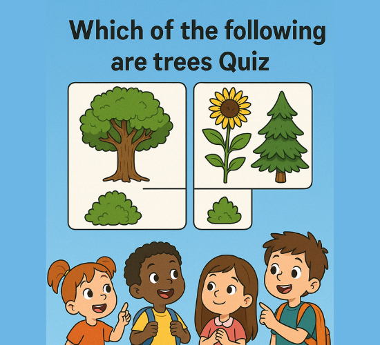 Ultimate Tree Spotting Challenge