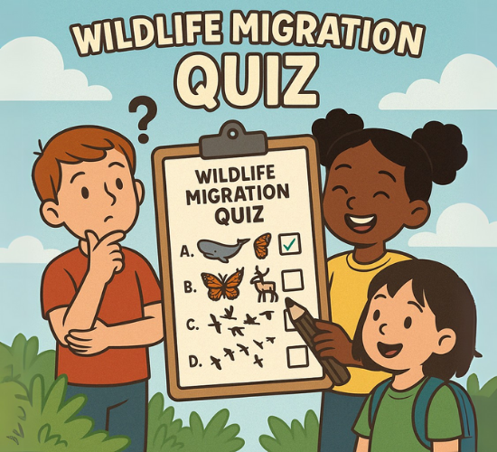 Wildlife Migration Quiz
