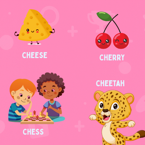 Learn Words beginning with che Quiz