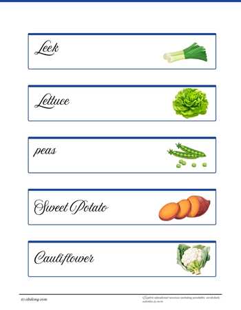 worksheet