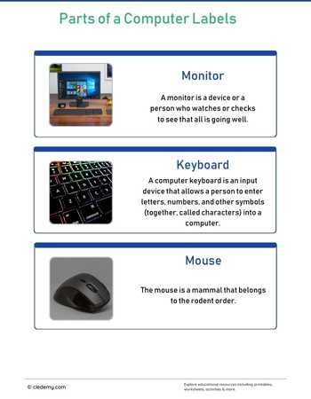 worksheet