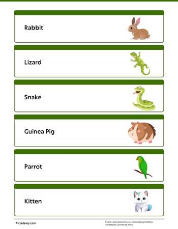 worksheet