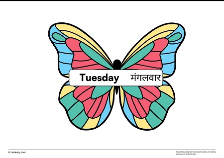 worksheet