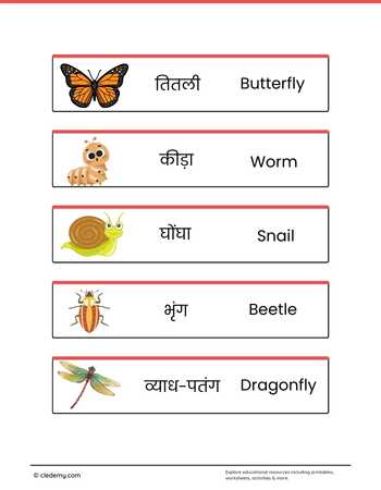 worksheet