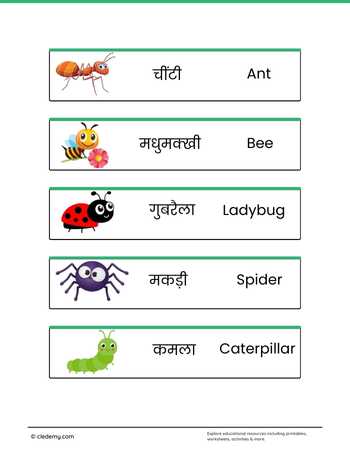 worksheet