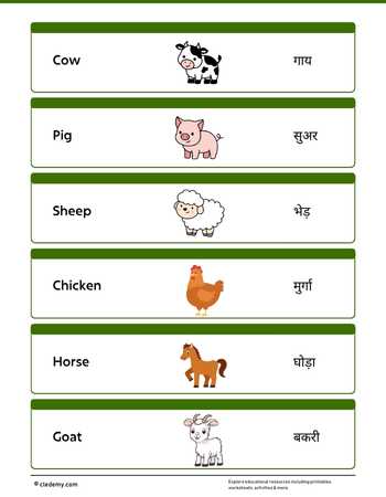 worksheet