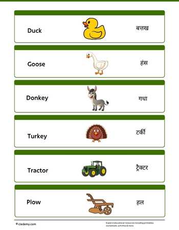 worksheet