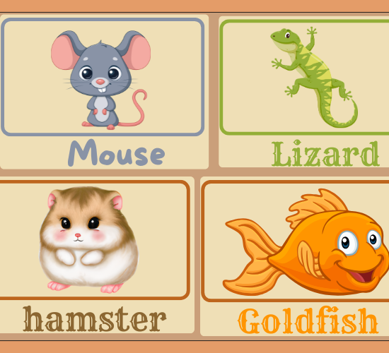 Pets Display Photos