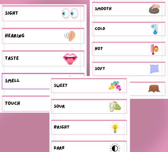 Senses Topic Word Cards