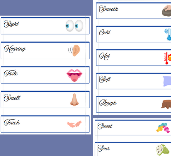 Senses Topic Word Cards Cursive