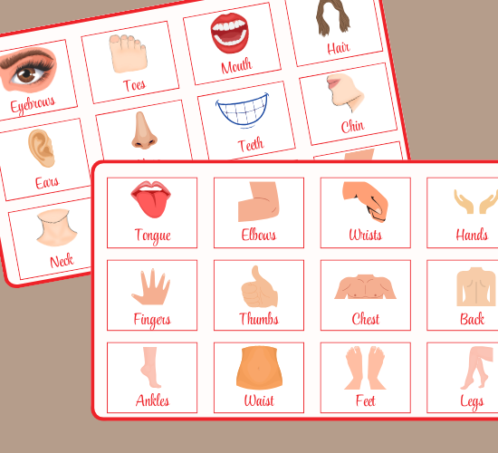 My Body Word Mat(cursive Version)