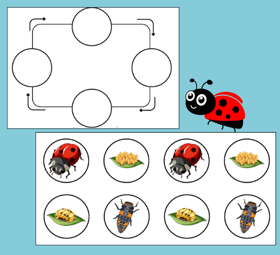 worksheet