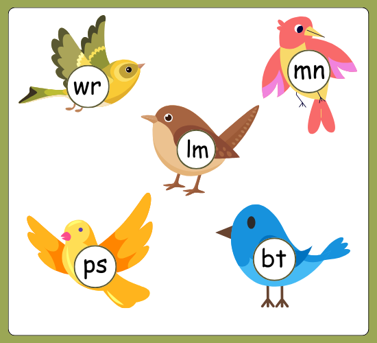 Silent Letters on Birds
