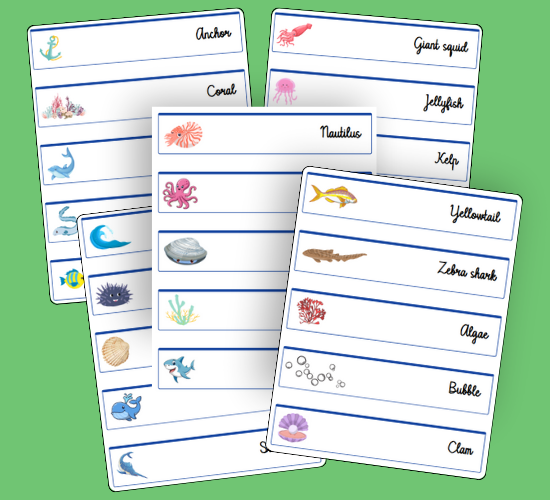 Under the Sea Word Cards(standard Version)
