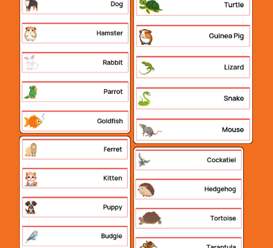 Pets Word Cards