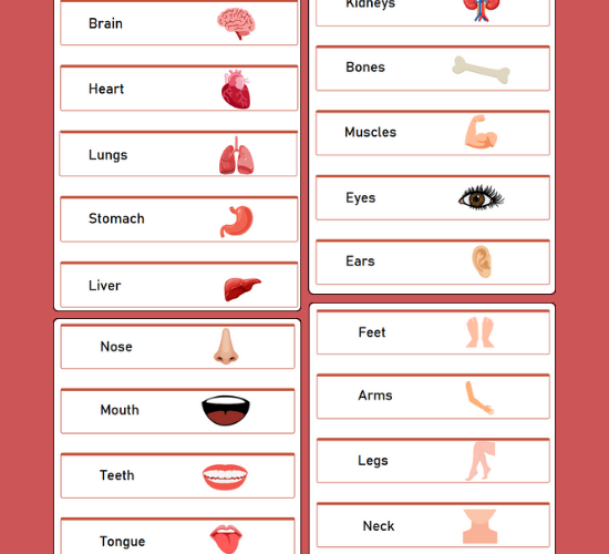 Body labels