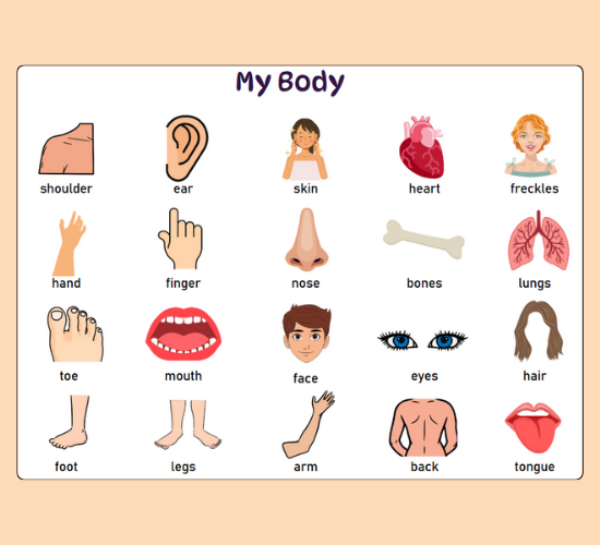 Body Word Mat