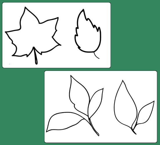 Blank Leaves Template