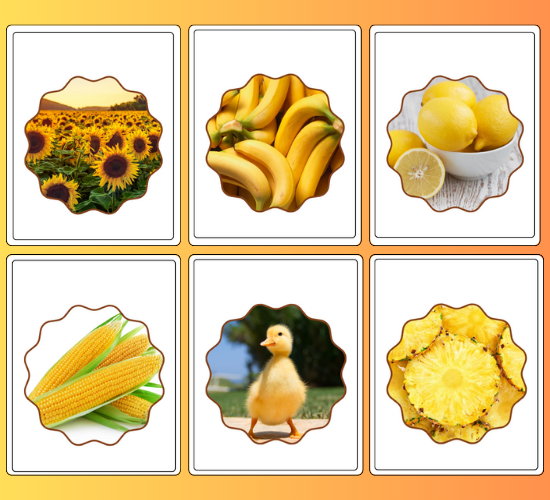 Yellow Objects Circle Display Photo Cut-Outs