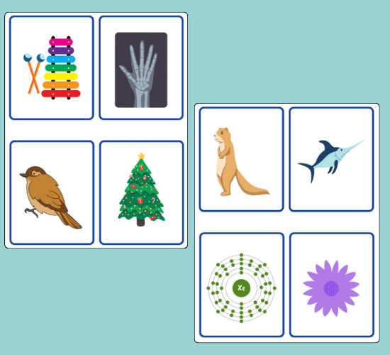 Letter x Initial Sounds Alliteration Picture Cards