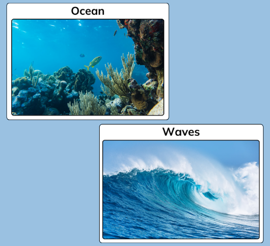 The Beach Display Photos