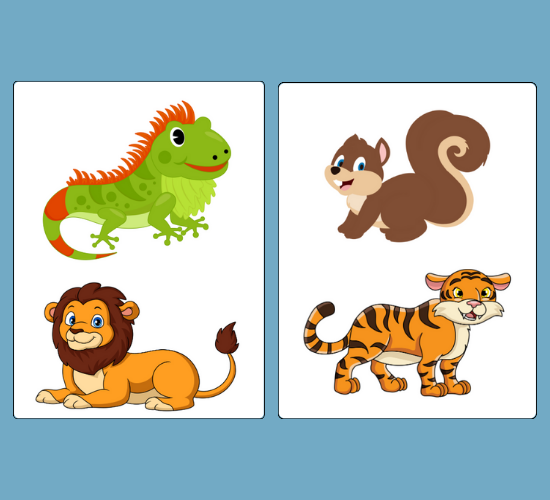 Zoo Role Play Cut-Outs
