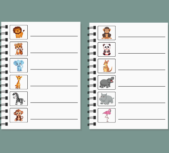 Zoo List Writing