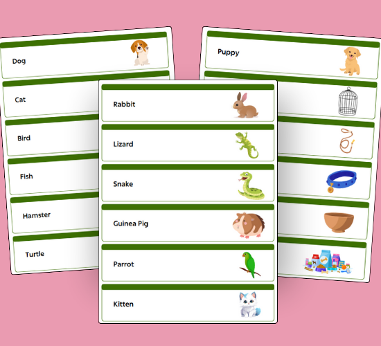 Pet Shop Word Cards