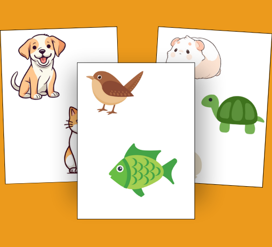 Pet Shop Cut-Outs
