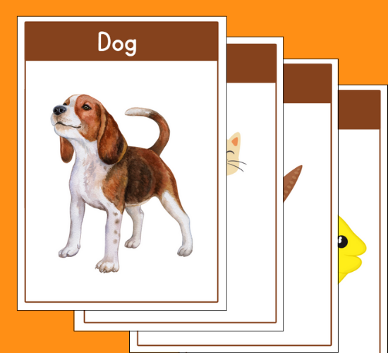 Pet Shop Flashcards
