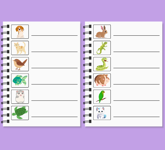 Pet Shop List Writing
