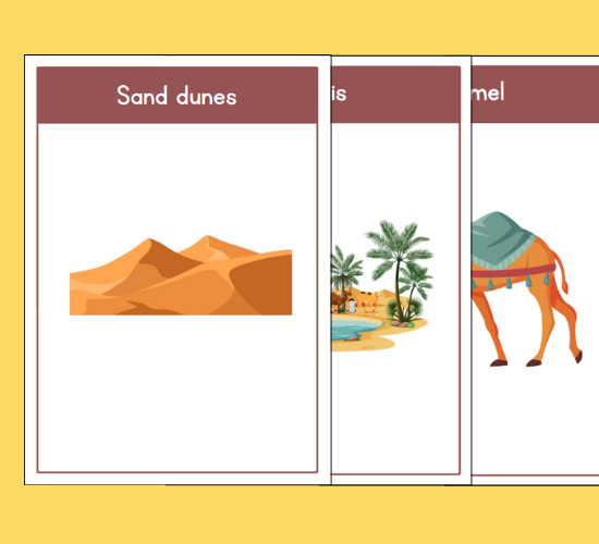 Desert Safari Flashcards